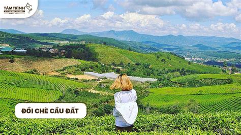 Top 10 Cảnh Đẹp Đà Lạt Giúp Bạn Hòa Cùng Thiên Nhiên - Tám Trình Coffee Experiences - Dalat ...