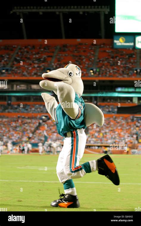 Miami dolphins mascot hi-res stock photography and images - Alamy