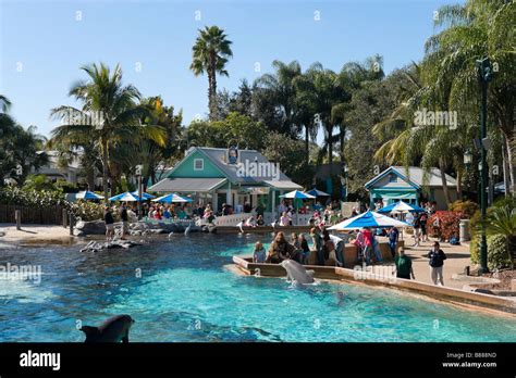 Dolphin Cove at Sea World, Orlando, Central Florida, USA Stock Photo: 22310105 - Alamy