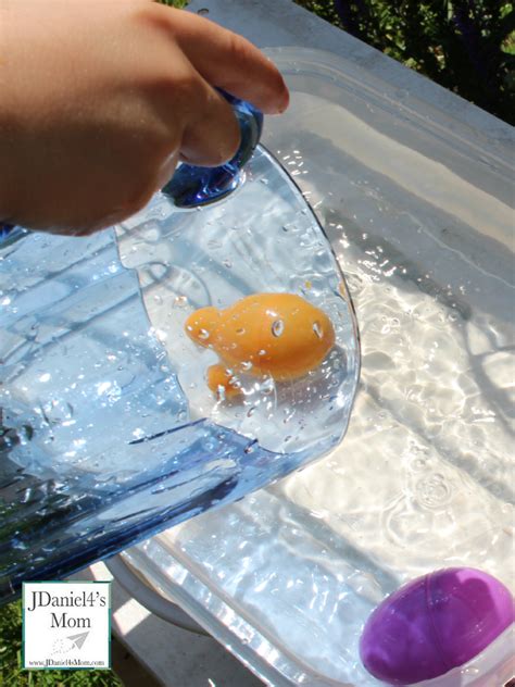 What is science? Simple and Fun Ways to Explore Water