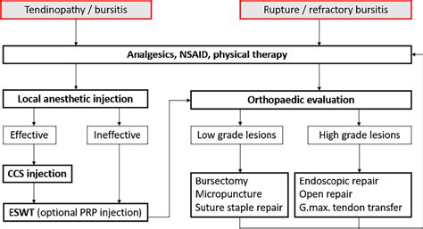 Management of GTPS. GTPS greater trochanteric pain syndrome, NSAID... | Download Scientific Diagram