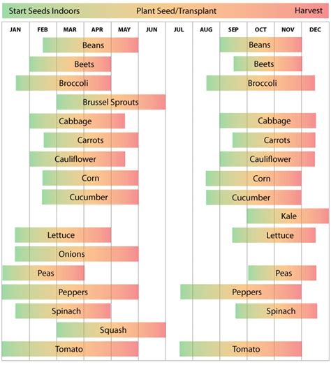 20+ Zone 7 Planting Schedule - LeonneBhreac