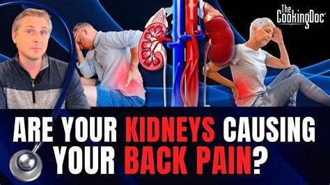 Common Causes of Kidney and Back Pain - YouTube