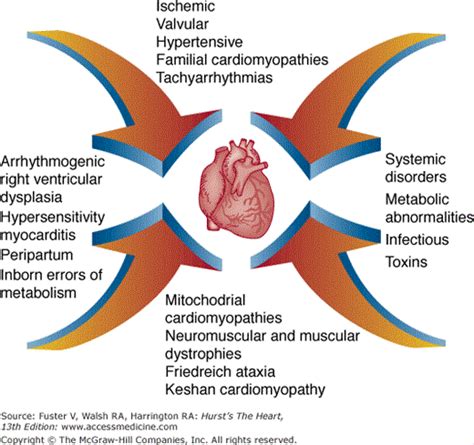 Myocarditis : Myocarditis Osmosis : Symptoms don't always occur, but can include those similar ...