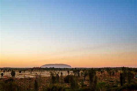 Uluru: Field of Light Sunrise Tour with Hot Drinks | GetYourGuide