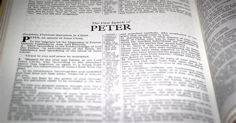 Why Study the Books of 1–2 Peter? - Bible Study