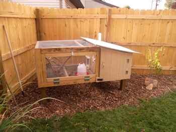 18 DIY Quail Hutch Ideas And Designs