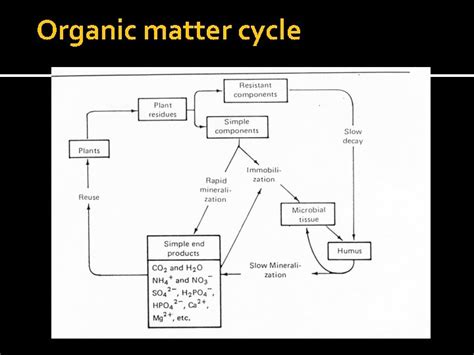 Soil Organic Matter and Decomposition Basic Decomposition Equation