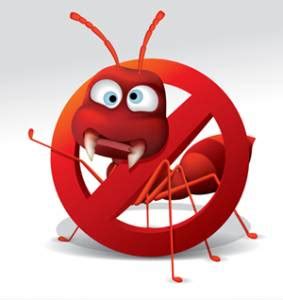 Ant Control - Prohealth Pest Control - Ant Control in Clearwater