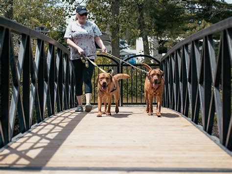 SUN RETREATS WILLOW LAKE - Campground Reviews (Scotland, Ontario)