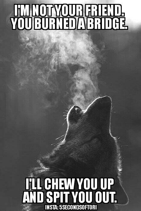 Dancing with wolves | Warrior quotes, Pagan quotes, Viking quotes