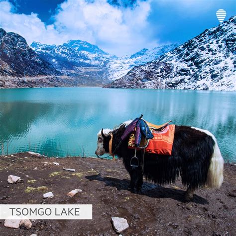 Tsomgo Lake – OYO Hotels: Travel Blog