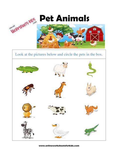 Pet Animals Worksheet 6