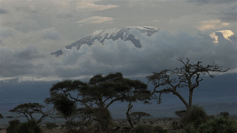 Mt. Kilimanjaro's glacier cap predicted to melt by 2040s from climate change