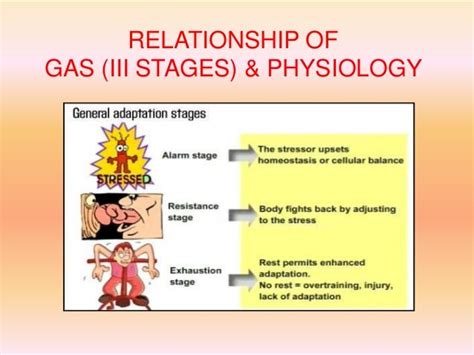 Effective performance through better stress handling