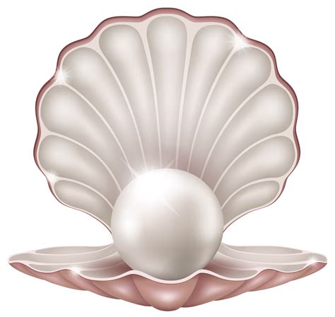 Free Pearl Shell Cliparts, Download Free Pearl Shell Cliparts png images, Free ClipArts on ...