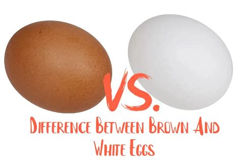 Brown Eggs vs. White Eggs - Difference Between Brown And White Eggs