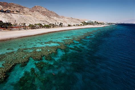 Why Is The Red Sea Called So? - WorldAtlas