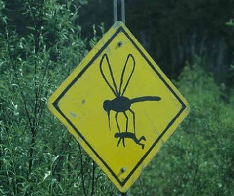 29 Unusual and Funny Road Signs - Weird Road Signs - Around the World