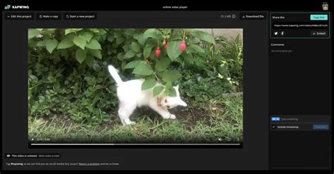 Online Video Player — Play Videos in Browser