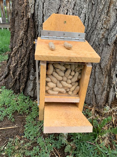 Squirrel Feeder with Lid Lift Mechanism Plans – King's Fine Woodworking Inc