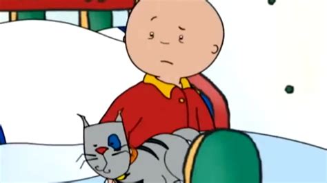 Caillou is Sick | Caillou Cartoon - YouTube