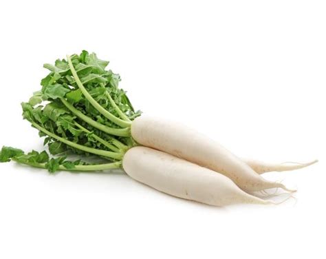 Seeds Vegetable Seeds White Radish , safed mooli 40+seeds - Seedsnpots