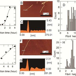 (PDF) Scanning electron microscope imaging of amyloid fibrils