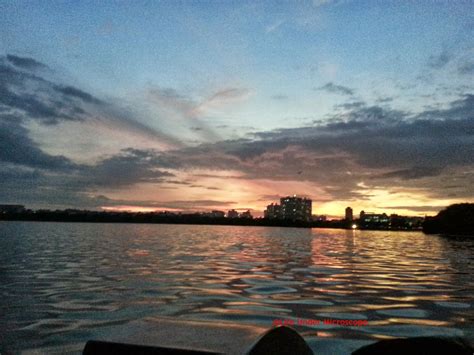 Life Under Microscope: A Boat Ride at Madiwala Lake, Bengaluru