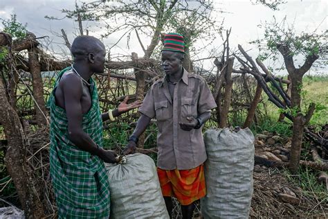 Illegal Charcoal Burning Offers Income to People in Uganda’s Karamoja ...