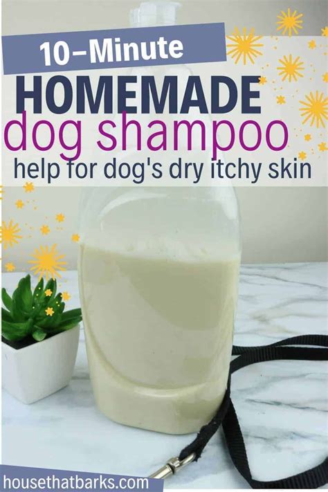 10 minute oatmeal dog shampoo for dry itchy skin – Artofit