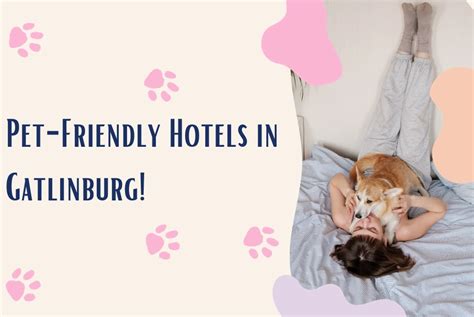 Pet-Friendly Hotels In Gatlinburg, Hilton Garden Inn Gatlinburg