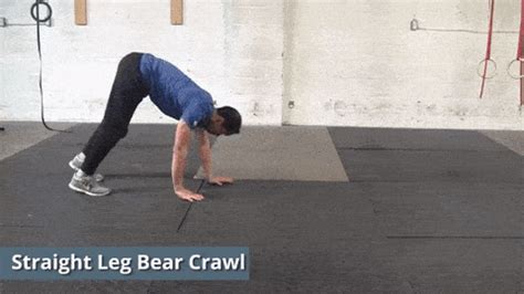 7 Awesome Bear Crawl Exercise Variations | Precision Movement