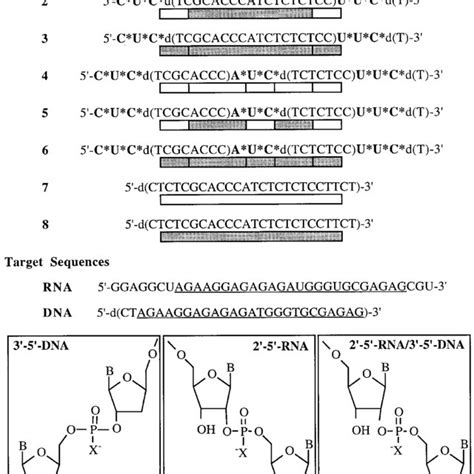 (PDF) Mixed backbone antisense oligonucleotides: design, biochemical ...