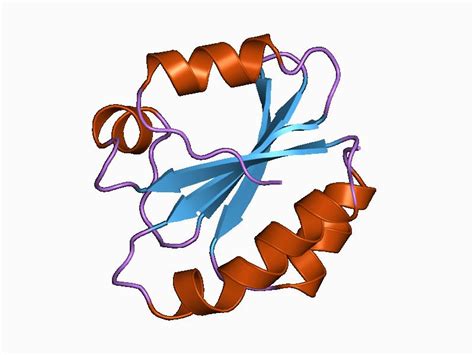 Thioredoxins