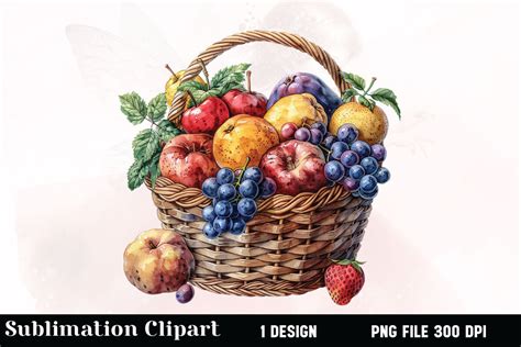 Fruits in Basket Clipart PNG Graphic by Vertex · Creative Fabrica