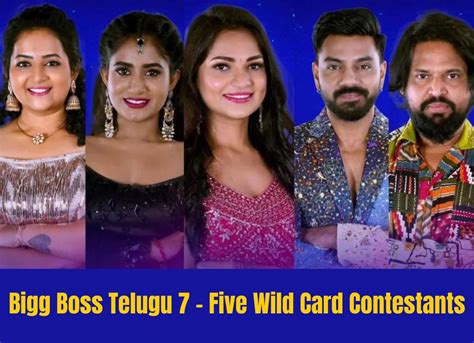 Bigg Boss Telugu 7: Five Wild Card Contestants