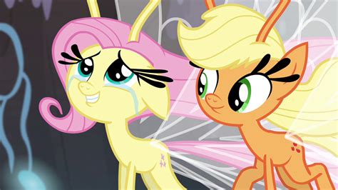Image - Fluttershy happy for the Breezies S4E16.png | My Little Pony Friendship is Magic Wiki ...