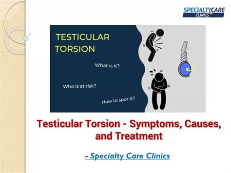 PPT - Testicular Torsion - Symptoms, Causes, and Treatment PowerPoint Presentation - ID:11203333