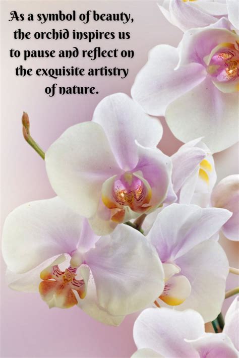 63 Unique Orchid Quotes To Help You Bloom - Darling Quote