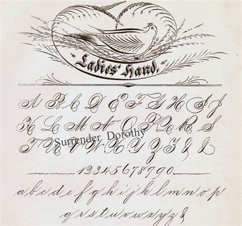 Palmer Method Cursive Letters