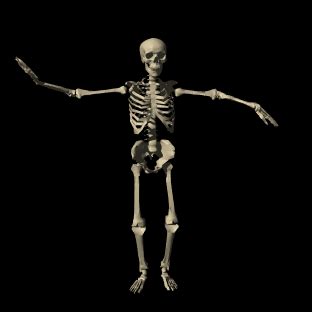 Dance Skellington GIF - Find & Share on GIPHY