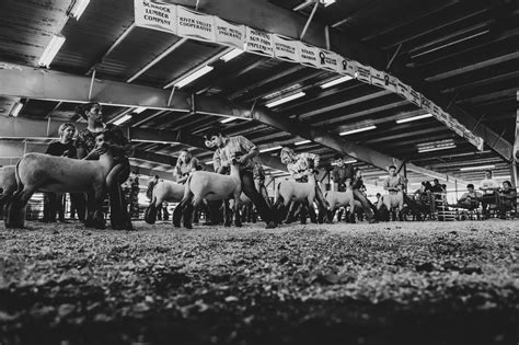 Des Moines County Fair