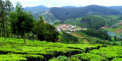 India Trip Package - Idukki Hill Station TOUR