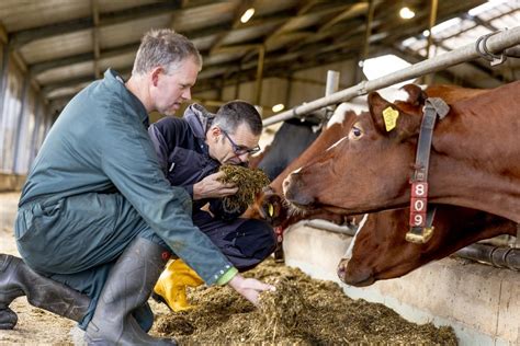 Influencing cow milk production - Trouw Nutrition United Kingdom