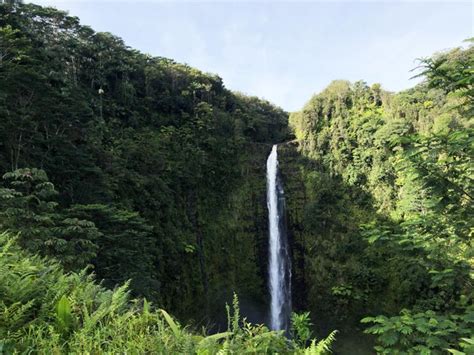 Premium Photo | Akaka falls Hawaii