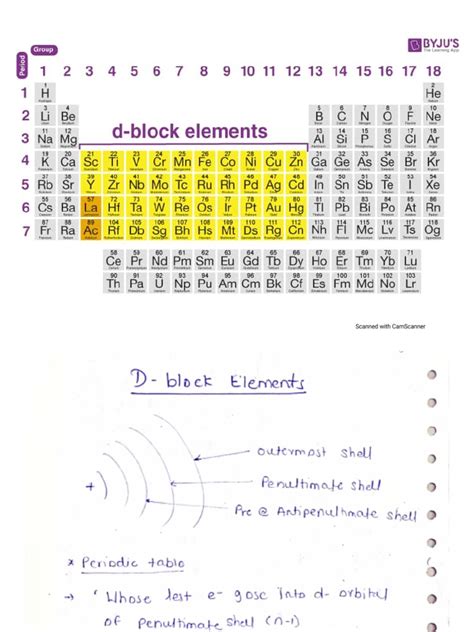 D - Block Elements | PDF