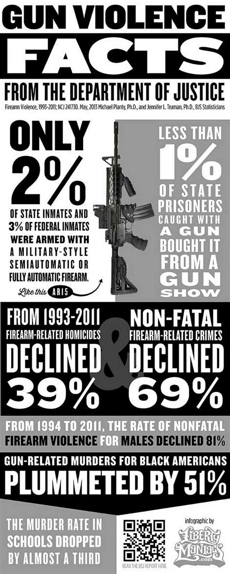 Gun Control Facts | Inforgraphics On Gun Ownership