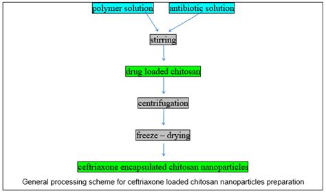 Materials | Free Full-Text | Third-Generation Cephalosporin-Loaded Chitosan Used to Limit ...