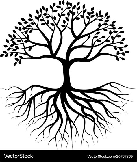 Tree silhouette with root Royalty Free Vector Image